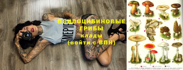 спиды Няндома
