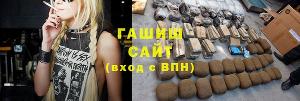 прущие грибы Новозыбков