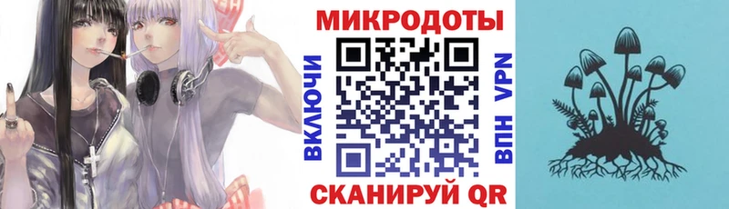 Галлюциногенные грибы Psilocybine cubensis  где купить наркоту  Протвино 