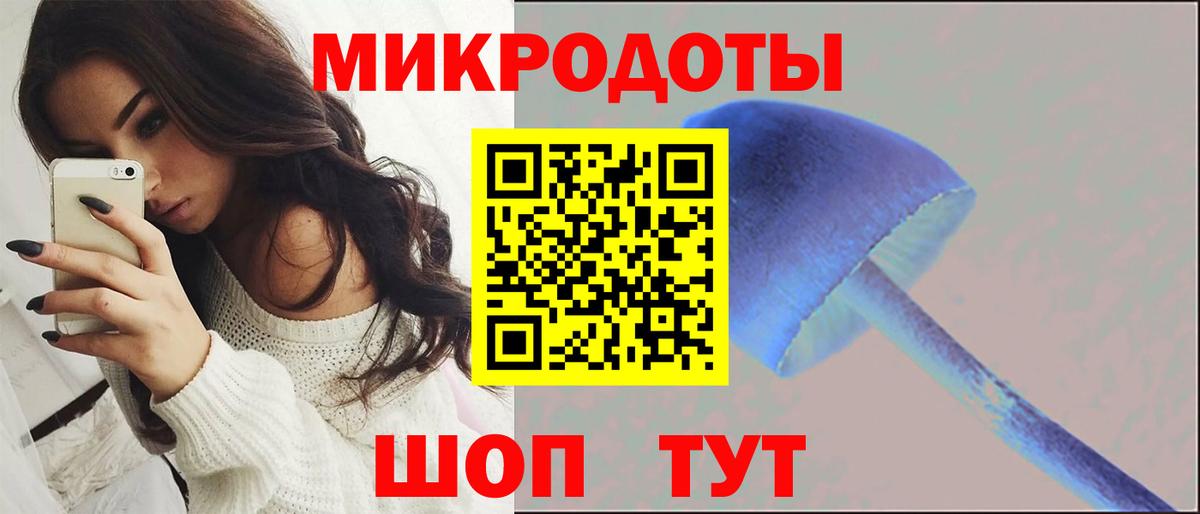 Протвино  Галлюциногенные грибы мицелий  Вход с VPN 