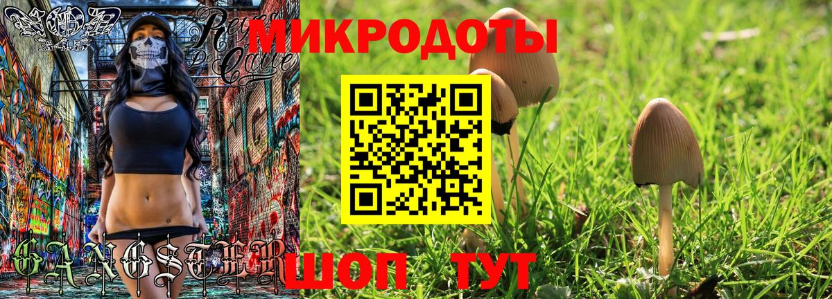 Псилоцибиновые грибы GOLDEN TEACHER Протвино