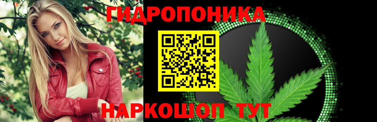 Бошки Шишки тримм  Бошки Шишки Amnesia  Протвино  Вход с VPN  МАРИХУАНА Amnesia  МАРИХУАНА OG Kush 